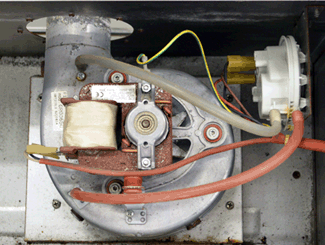 sm friendly format fan and aps.gif